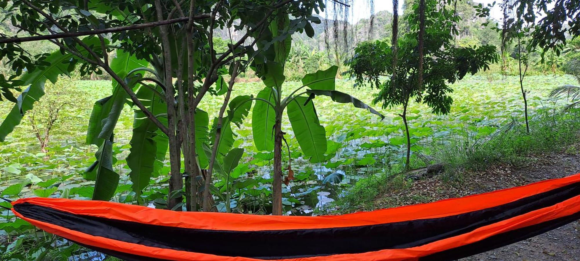 Thung Sen Tam Coc Chalets Ninh Binh Exterior foto